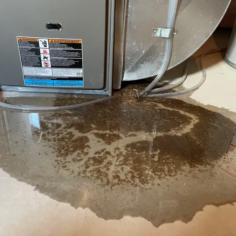 Appliance Leak Cleanup in Otsego County, NY